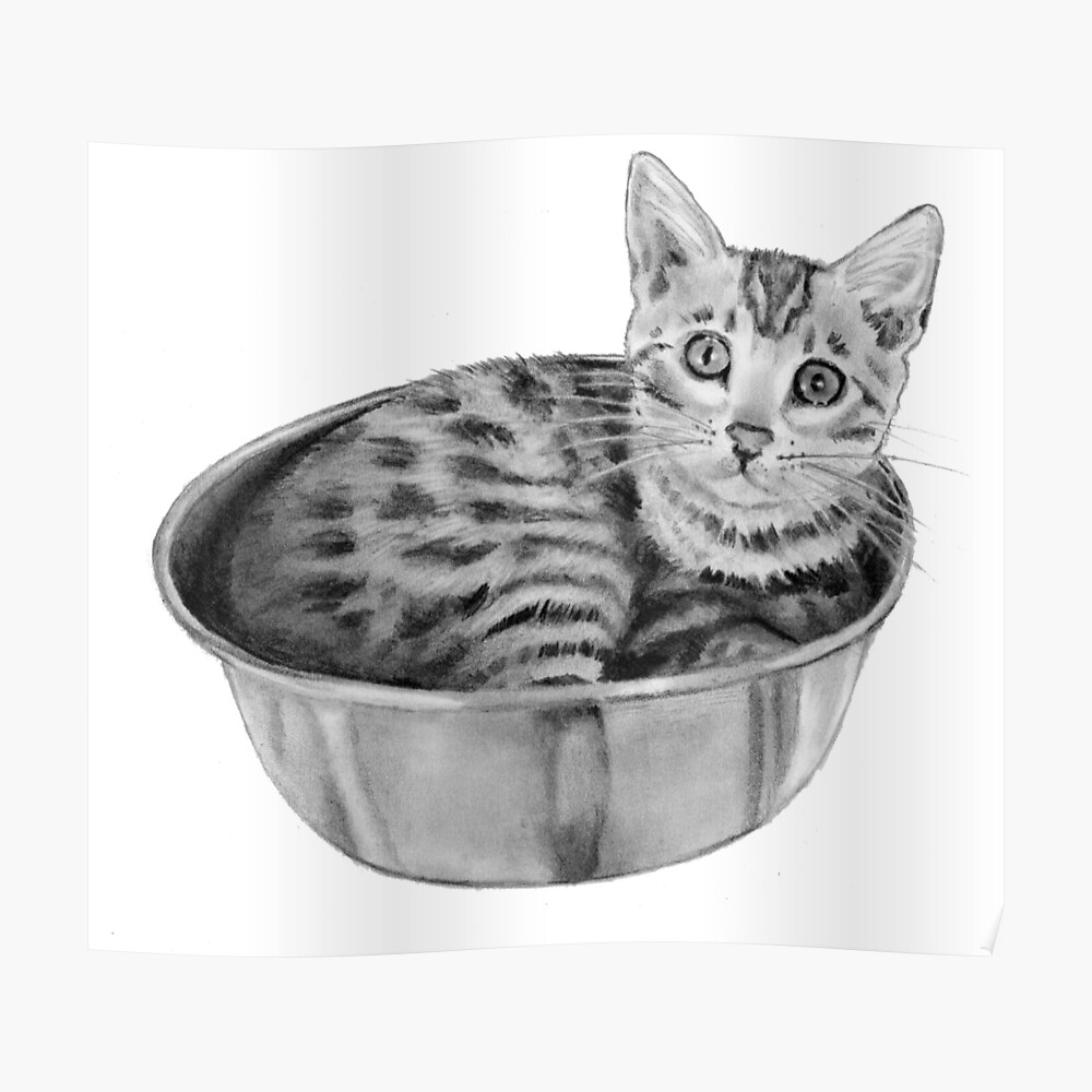 Impression Artistique Bengale Chaton Dans Un Bol Dessin Au Crayon Realisme Par Joyce Redbubble