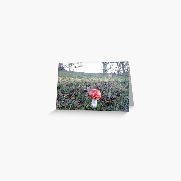 Magic Mushroom Greeting Card