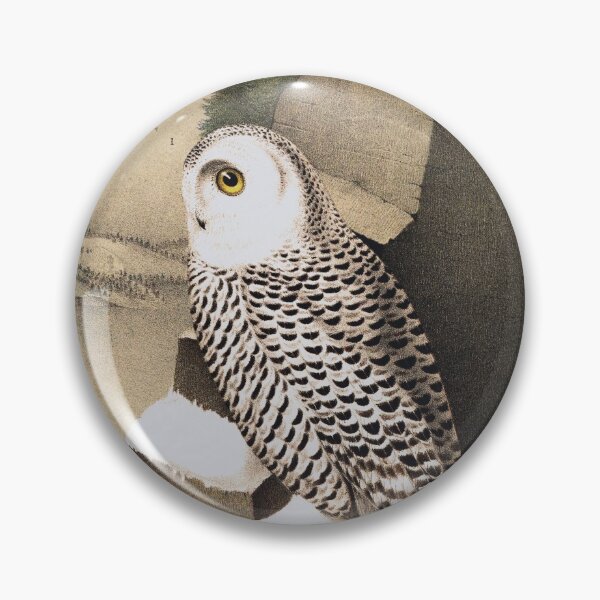 Item preview, The Owl designed and sold by Santanu1990.