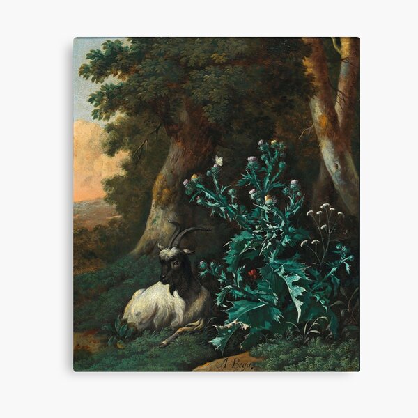 Abraham Begeyn (c. Leiden 1637–1697 Berlin) - A wooded landscape with a goat and thistles Canvas Print