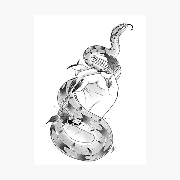 rattlesnake strike tattoo - Google Search  Snake drawing, Snake tattoo  design, Snake