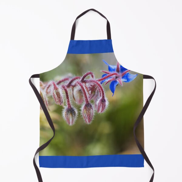 Item preview, Borage Plant Has Buds designed and sold by Joy Watson - Natural Light Photography .