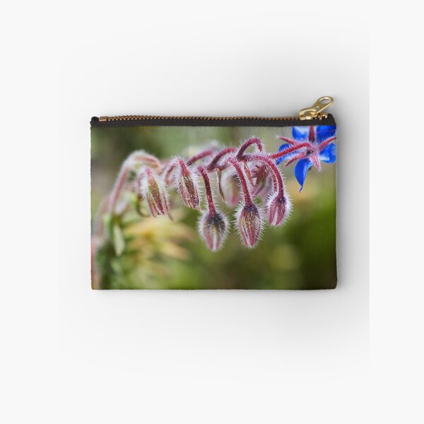 Item preview, Borage Plant Has Buds  designed and sold by Joy Watson - Natural Light Photography .