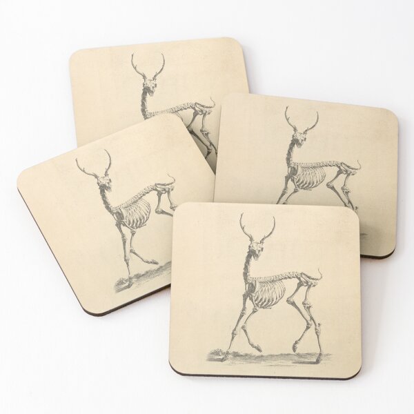 Item preview, Deer skeleton designed and sold by Humanicorporis.