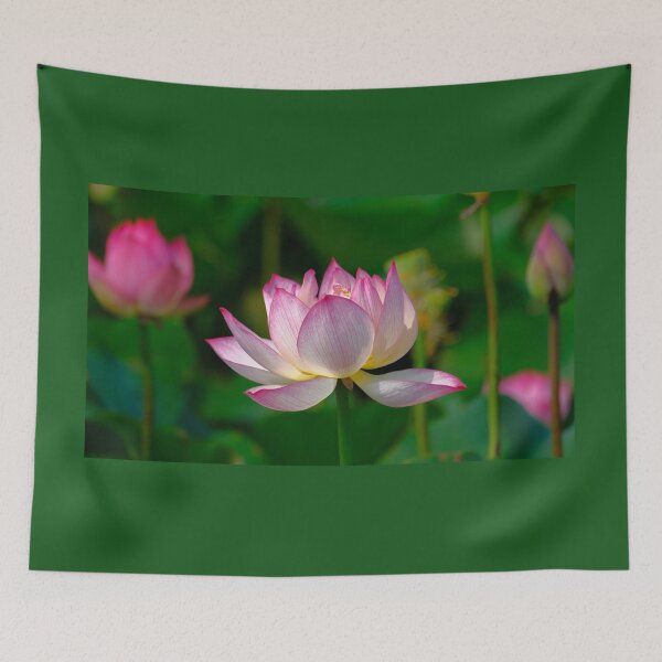 Item preview, Pink Lotus designed and sold by Gabrielle  Lees.