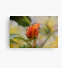 Two Tone Metal Print