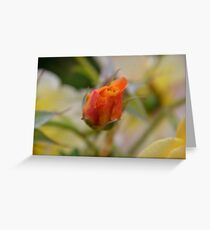 Two Tone Greeting Card