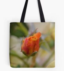 Two Tone Tote Bag