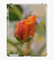 Two Tone iPad Case/Skin
