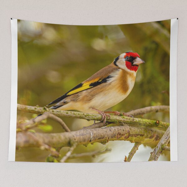 Item preview, Goldfinch  designed and sold by Dalyndigital Photography.