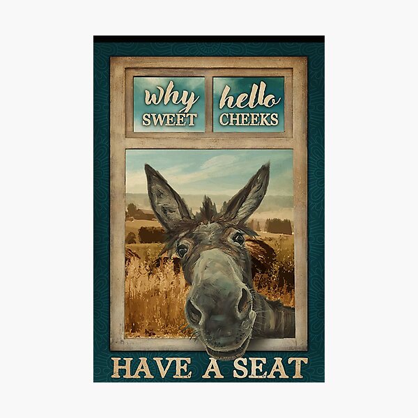 Donkey Why Hello Sweet Cheeks have a seat Photographic Print