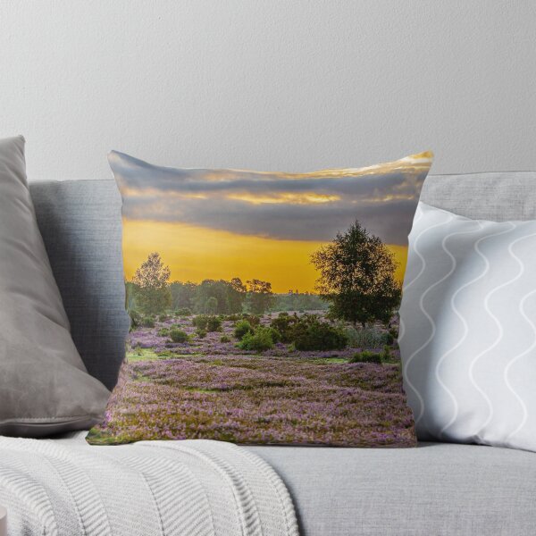 Item preview, New Forest sunset over the Heather designed and sold by Dalyndigital Photography.