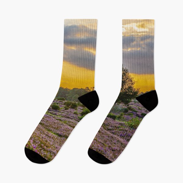 Item preview, New Forest sunset over the Heather designed and sold by Dalyndigital Photography.
