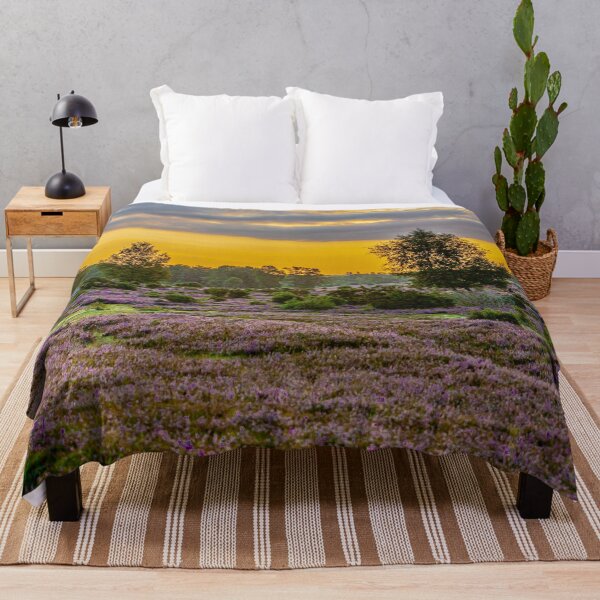 Item preview, New Forest sunset over the Heather designed and sold by Dalyndigital Photography.