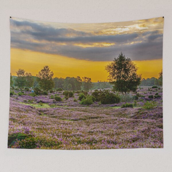 Item preview, New Forest sunset over the Heather designed and sold by Dalyndigital Photography.
