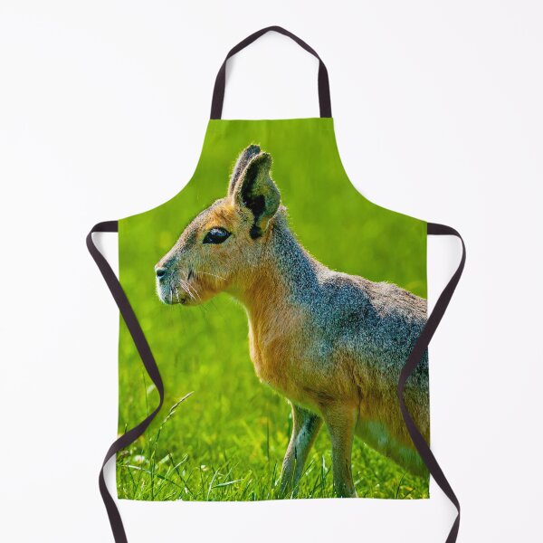 Item preview, Patagonian Mara designed and sold by Dalyndigital Photography.