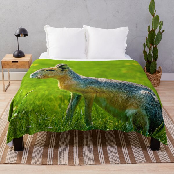 Item preview, Patagonian Mara designed and sold by Dalyndigital Photography.
