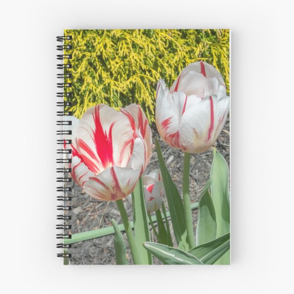 Item preview, Spring Tulips designed and sold by Imagery.