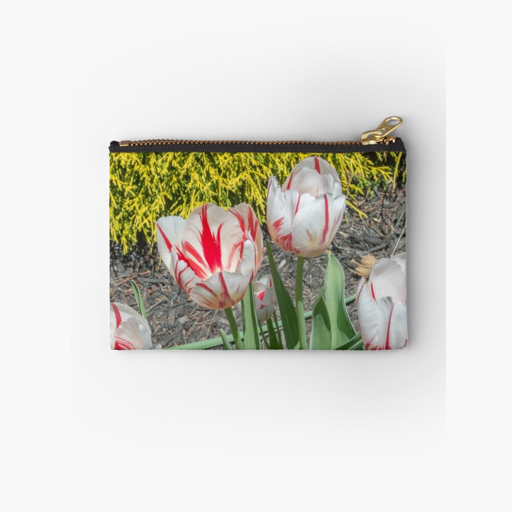 Item preview, Zipper Pouch designed and sold by Imagery.
