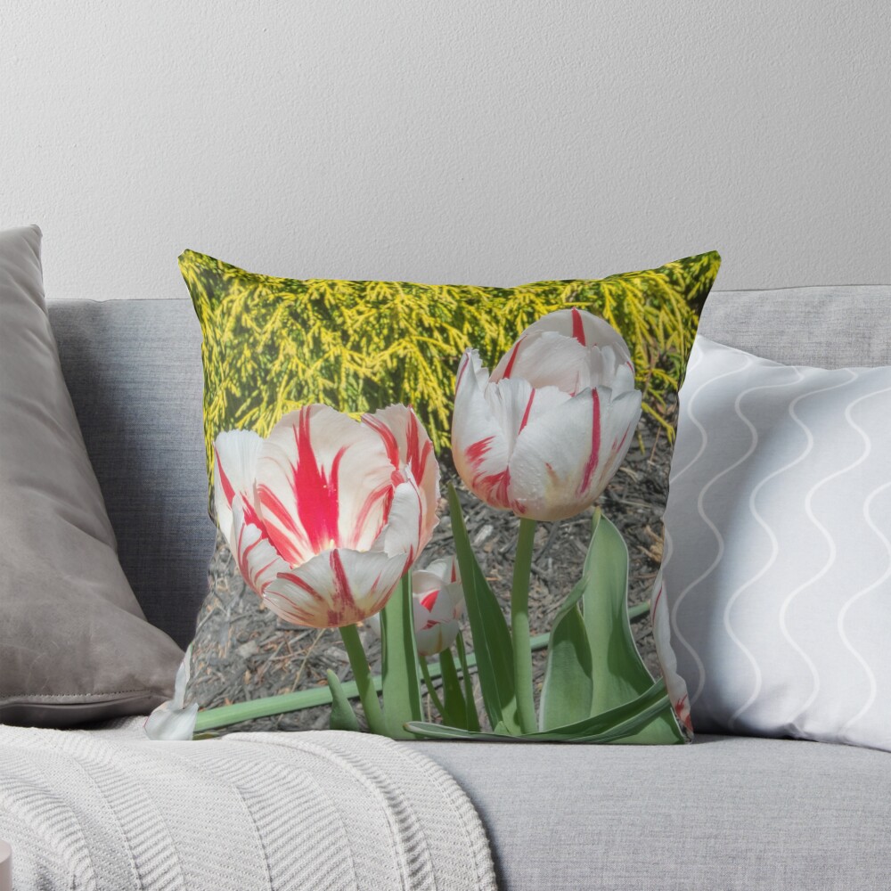 Item preview, Throw Pillow designed and sold by Imagery.