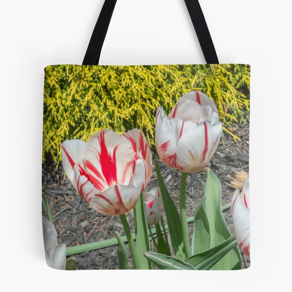 Item preview, All Over Print Tote Bag designed and sold by Imagery.