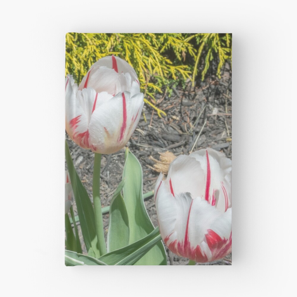 Item preview, Hardcover Journal designed and sold by Imagery.