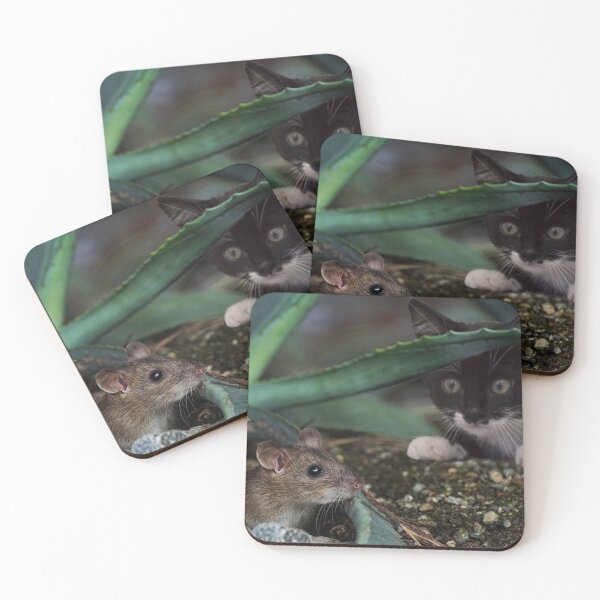 Item preview, Cat and mouse encounter designed and sold by NW-Photo-Art.