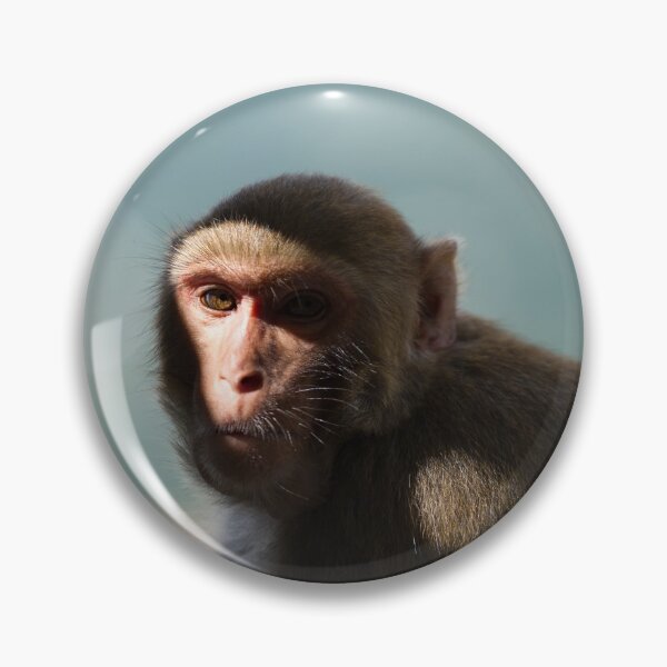 Item preview, Monkeys of the monastery on Taung Kalat  designed and sold by Mark Prior.
