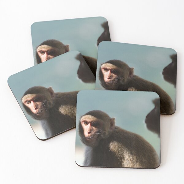 Item preview, Monkeys of the monastery on Taung Kalat  designed and sold by Mark Prior.
