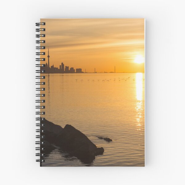Item preview, Crossing the Sunpath in Flight - Toronto Skyline Sunrise with Cormorants designed and sold by Georgia Mizuleva.