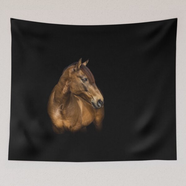Item preview, Portrait of a golden colored Lusitano horse, with black background. designed and sold by AylaHarbich.