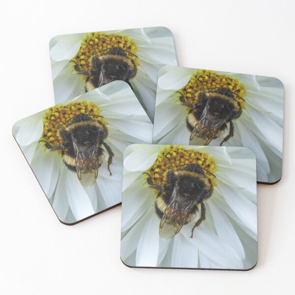 Item preview, Bee in a white daisy  designed and sold by Joanne Wall.