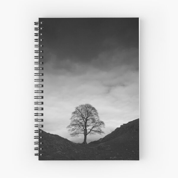 Item preview, Sycamore Gap designed and sold by RedGrouse.