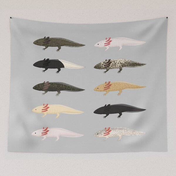 Item preview, Axolotls 2 designed and sold by Charloote.