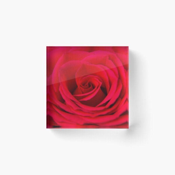 Item preview, Roses are red... designed and sold by PaulaTracyPix.