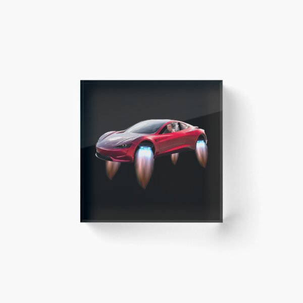 Item preview, Special Edition Tesla Roadster with Elon designed and sold by FunGuru.
