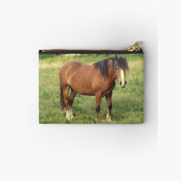 Item preview, Un caballo en Llanfairfechan. designed and sold by Michael Haslam.