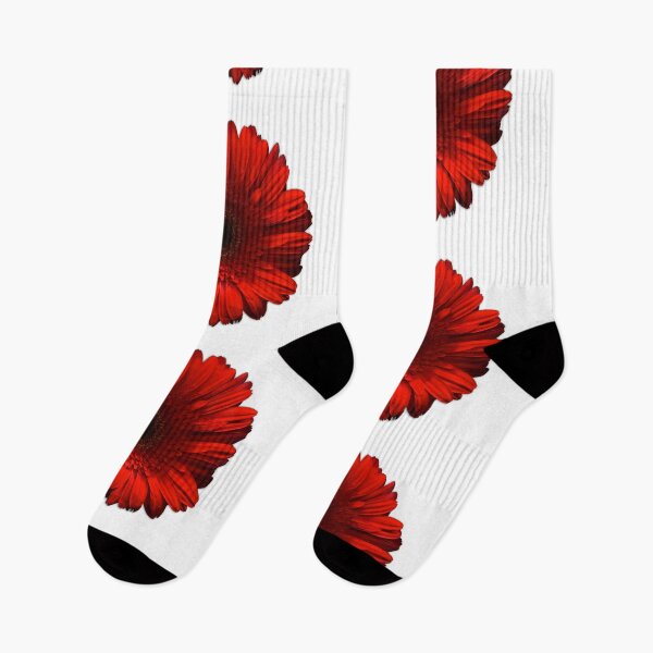 Item preview, red gerbera flower white background designed and sold by TheSpaceShip.