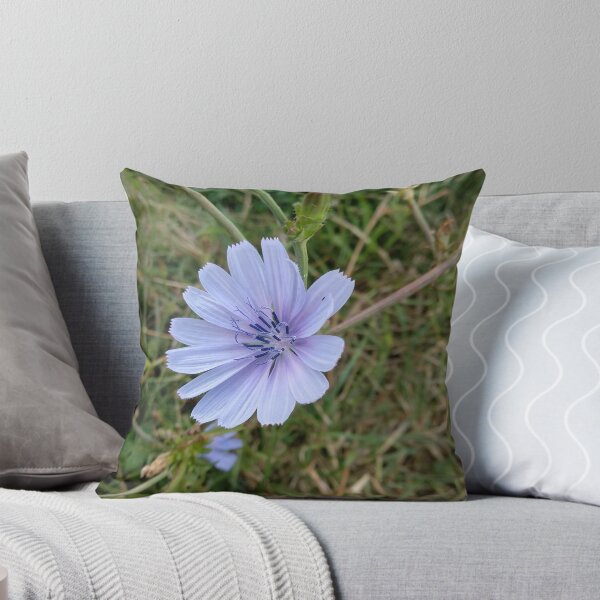 Item preview, Cornflower designed and sold by Ioka.