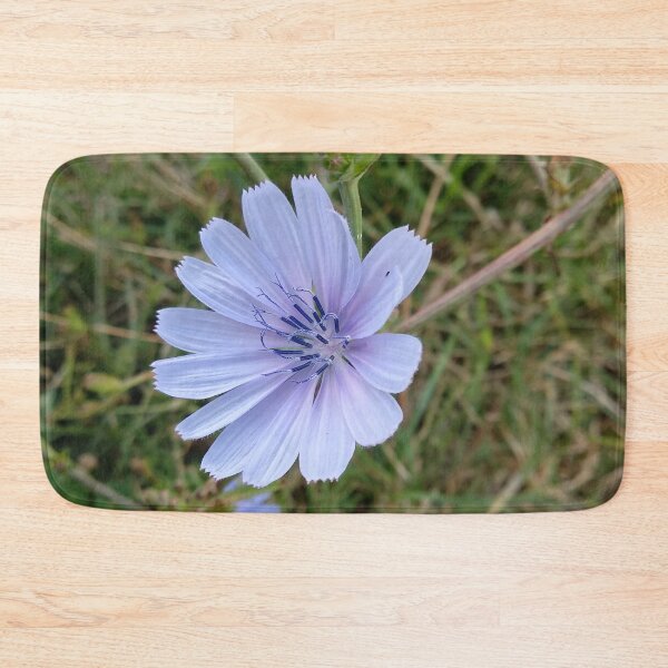 Item preview, Cornflower designed and sold by Ioka.