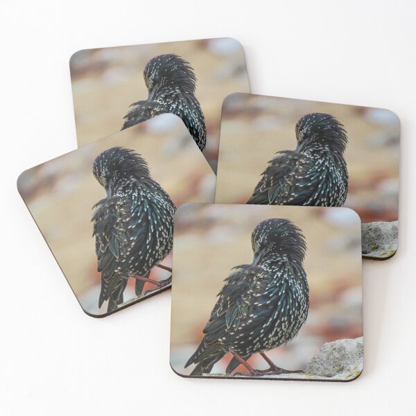 Item preview, Preening Starling  designed and sold by Joanne Wall.
