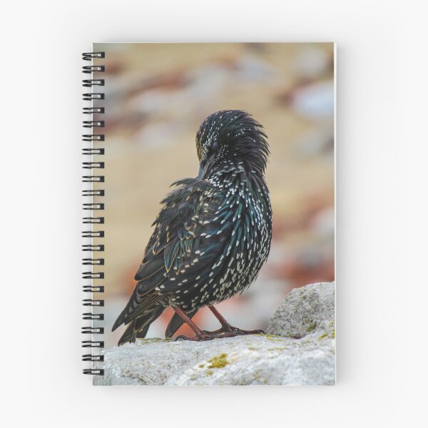 Item preview, Preening Starling  designed and sold by Joanne Wall.