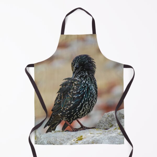 Item preview, Preening Starling designed and sold by Joanne Wall.