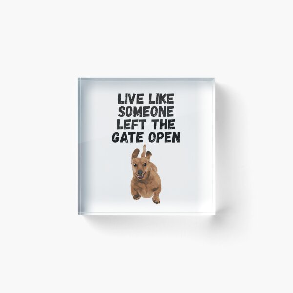 Item preview, live like someone left the gate open designed and sold by Sinovius.
