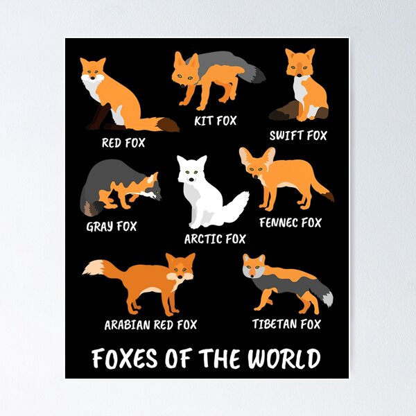 Item preview, Foxes Of The World designed and sold by whitneyiott9632.