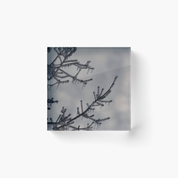 Item preview, Frozen in time designed and sold by Tonia Delozier's Photography .