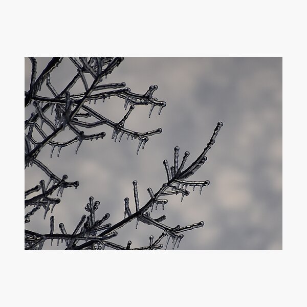 Item preview, Frozen in time designed and sold by Tonia Delozier's Photography .