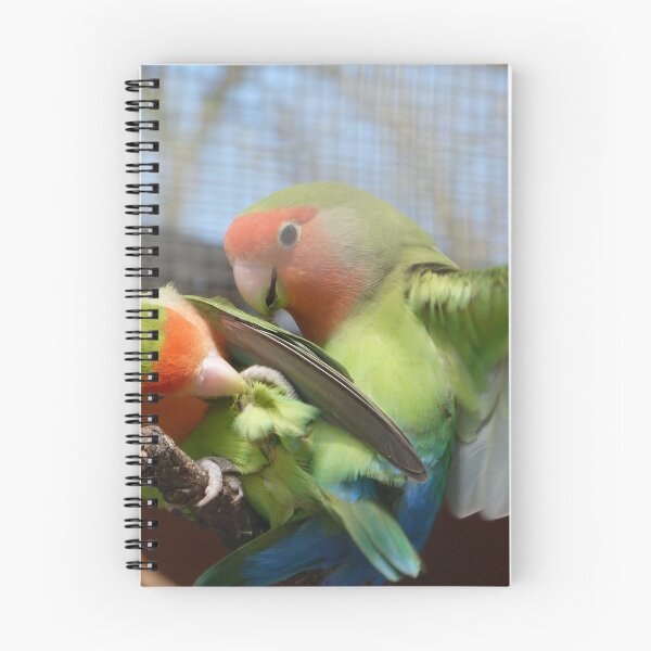 Item preview, Where has the romance gone? designed and sold by Sandra Willis.
