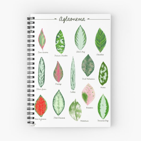 Item preview, Aglaonema chinese evergreen leaves species designed and sold by Onyria Art.