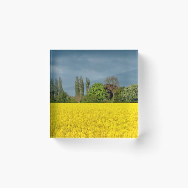 Item preview, Fresh Mustard designed and sold by Robert Lacy.